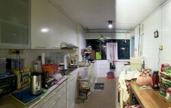 Blk 309 Clementi Meadows (Clementi), HDB 3 Rooms #495720001